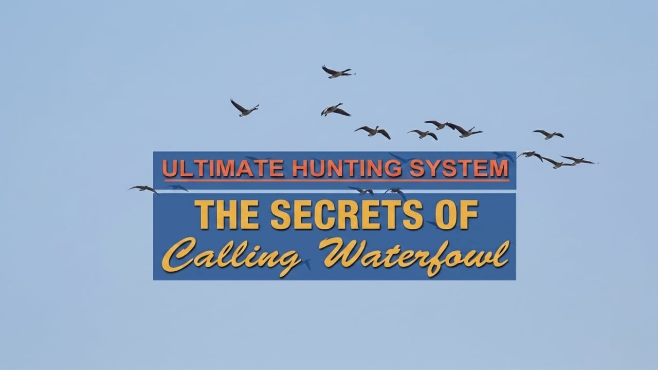 Secrets of Calling Waterfowl