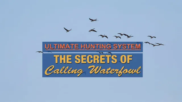 Secrets of Calling Waterfowl