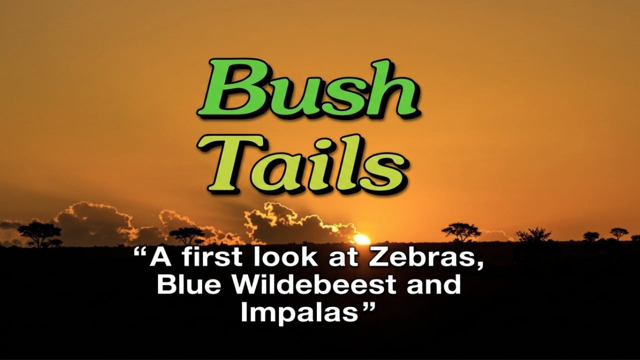 Bush Tails: Zebra, Wildebeest and Impalas