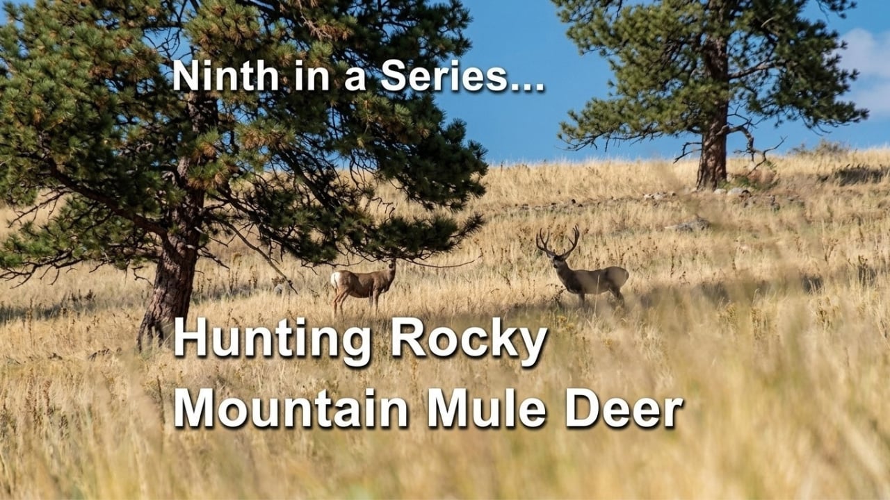Hunting Rocky Mountain Mule Deer