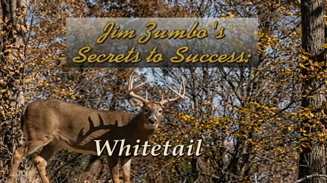 Secrets to Success - Whitetail