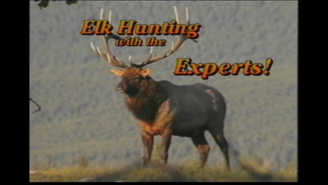 Elk Hunting Experts