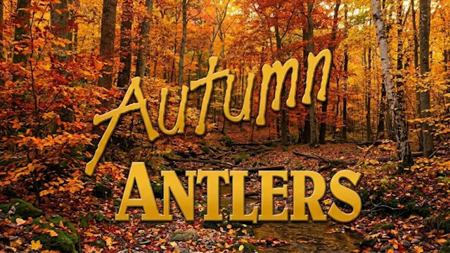Autumn Antlers