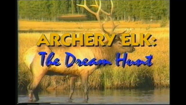 Archery Elk the Dream Hunt