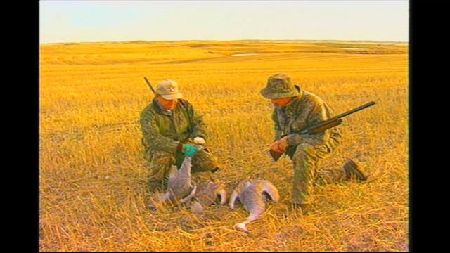 Waterfowl Hunting Tactics