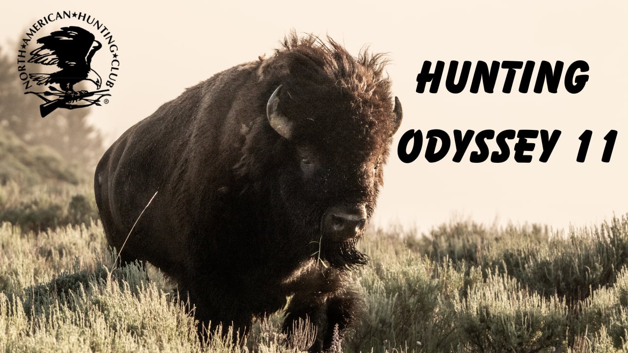 Hunting Odyssey 11