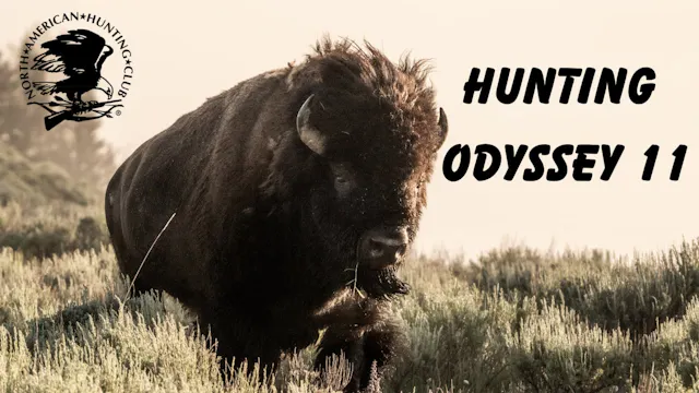Hunting Odyssey 11