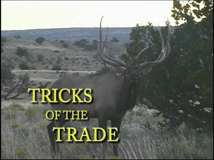 Tricks of the Trade - Trophy Elk Hunting