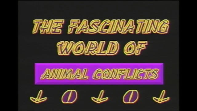 The Fascinating World of Animal Confl...