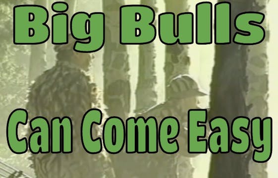 Big Bulls Can Come Easy