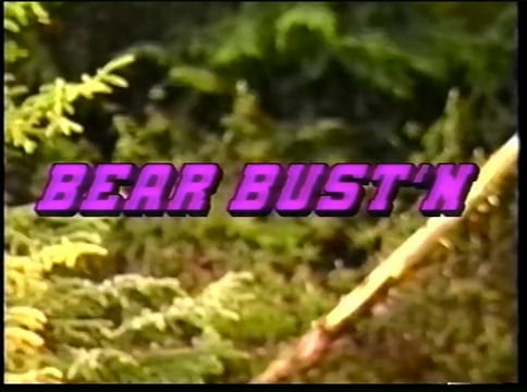 Bear Bust'n