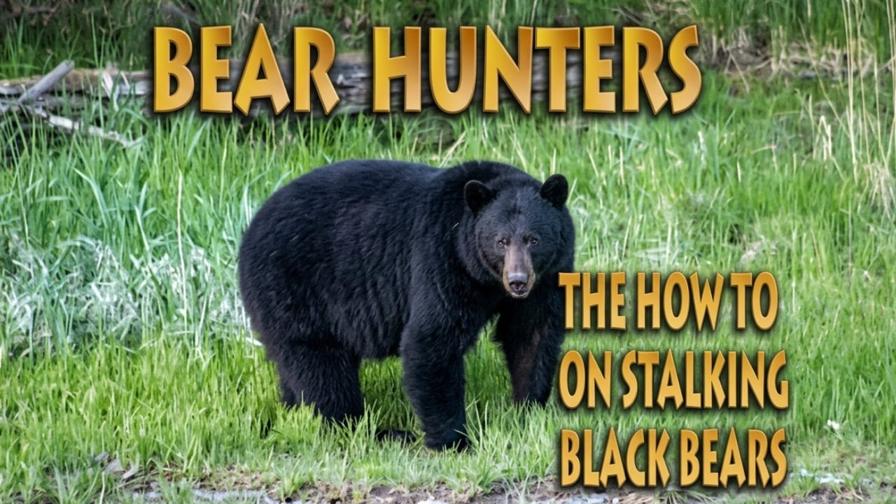 Bear Hunters