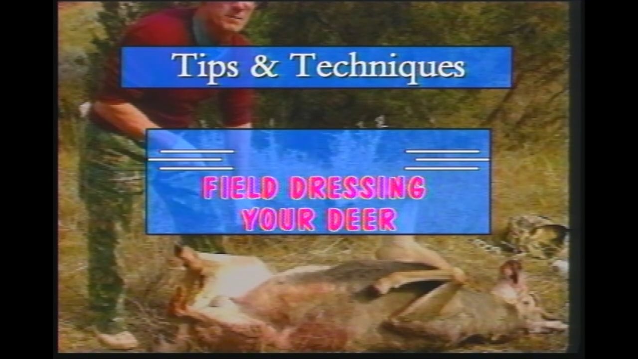 Field Dressing Your Deer