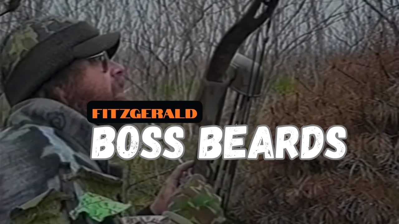 Boss Beards