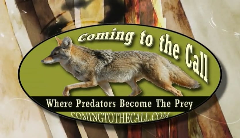 Where Predators Become Prey
