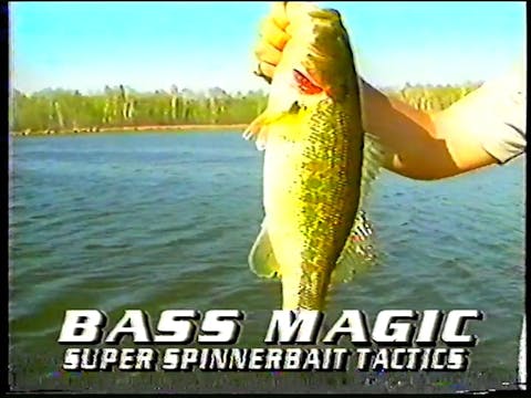 Bass Magic: Super Spinnerbait Tactics