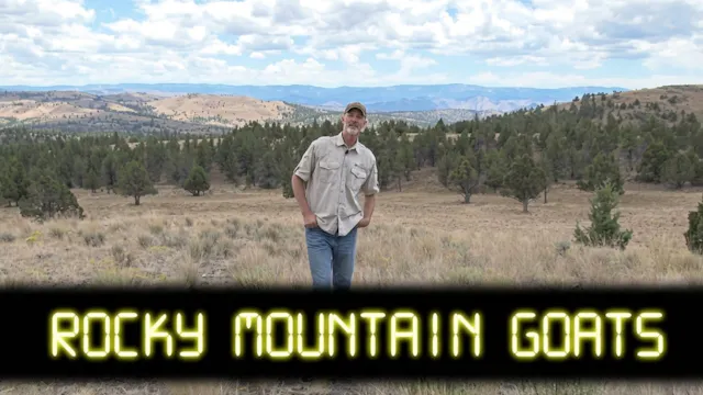 Rocky Mountain Goats