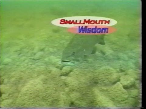 Small Mouth Wisdom