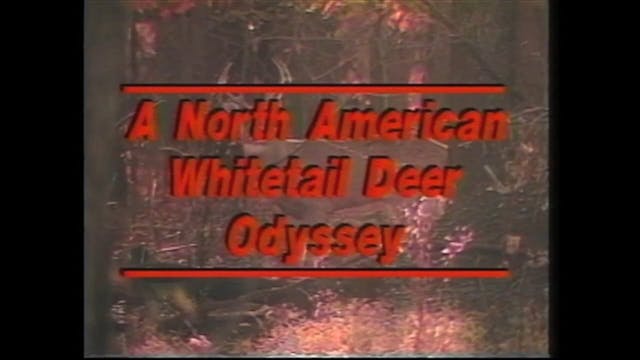 A North American Whitetail Deer Odyssey