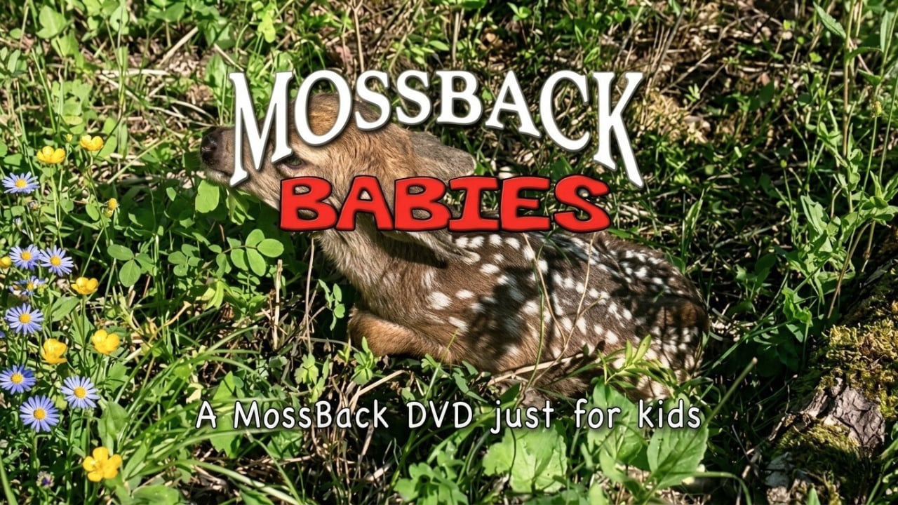 Mossback Babies