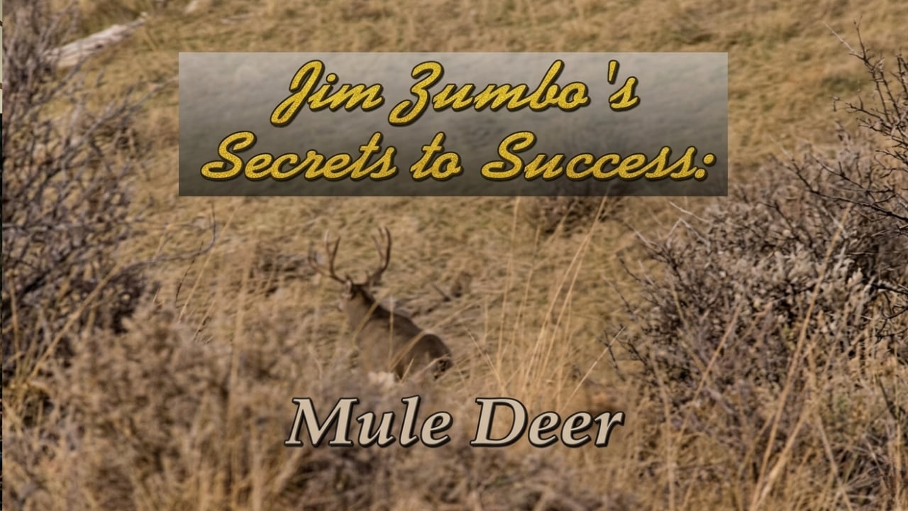 Secrets to Success - Mule Deer