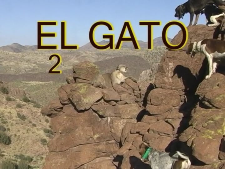 El Gato 2: Hunting the Big Cat