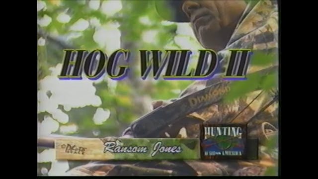 Hog Wild II