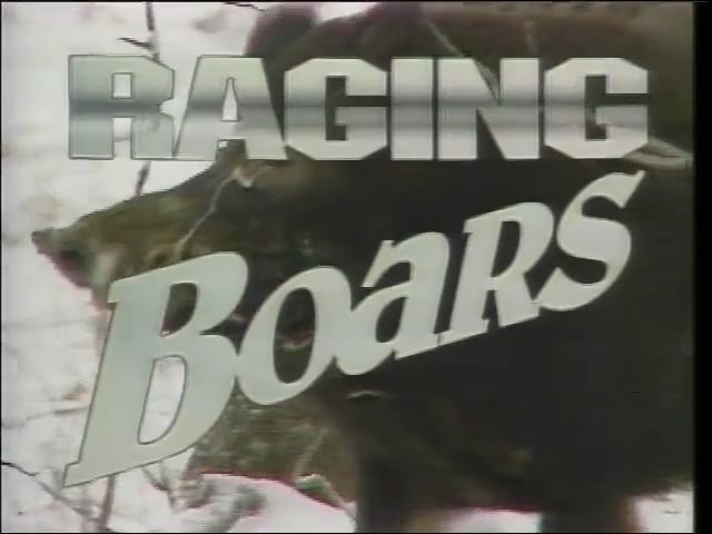 Raging Boars 1