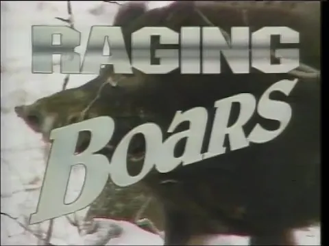 Raging Boars 1