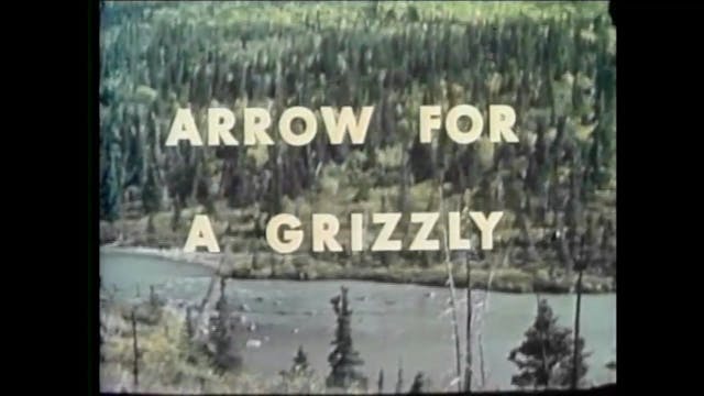 Arrow for a Grizzly