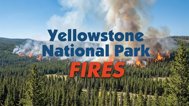 Yellowstone National Park Fires