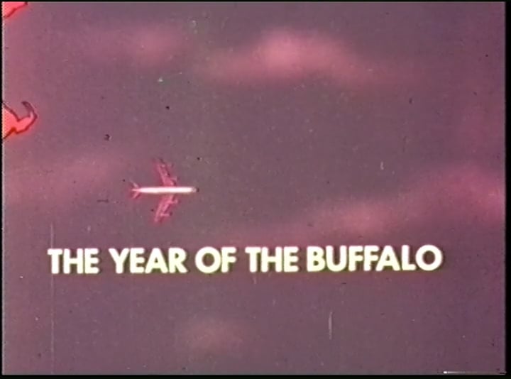 Fred Bear: Year of the Buffalo