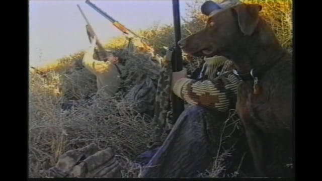 Waterfowl Hunting with Pros