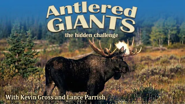 Antlered Giants