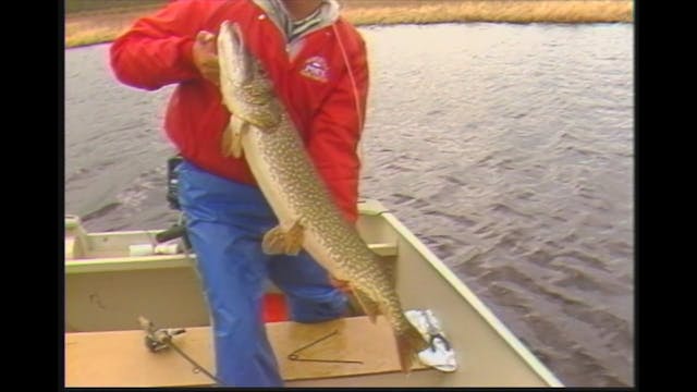 Northern Pike Lures and Locations Vol1