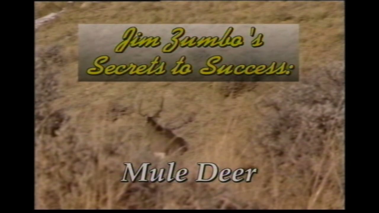 Secrets to Success - Mule Deer