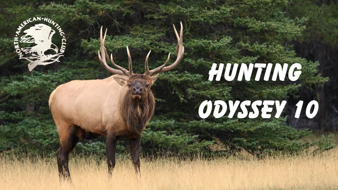 Hunting Odyssey 10