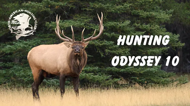 Hunting Odyssey 10