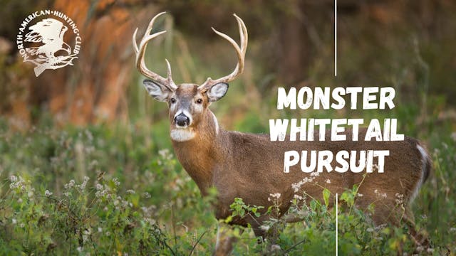 Monster Whitetail Pursuit