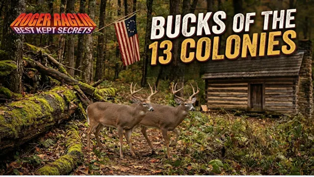 Bucks of the 13 Colonies