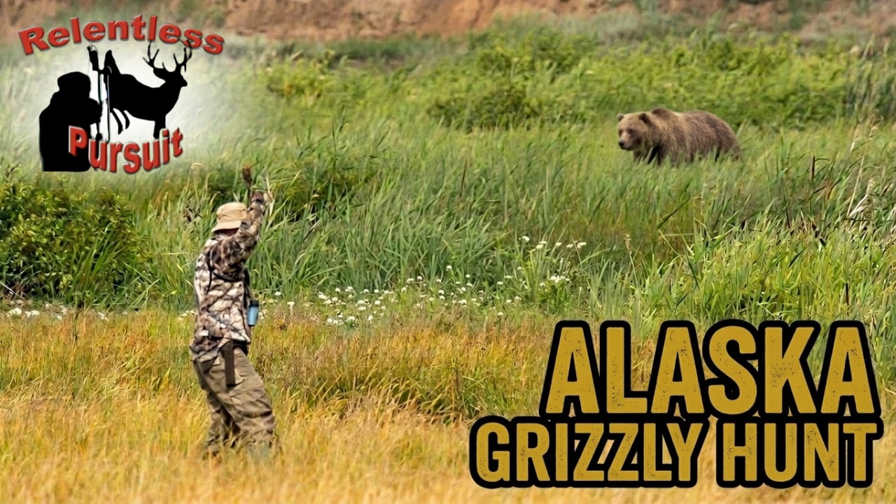Relentless Pursuit: Grizzly Bear