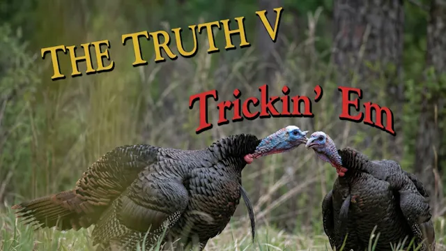Primos The Truth V: Trickin' Em