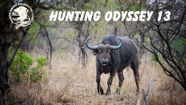 Hunting Odyssey 13