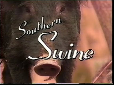 Southern Swine