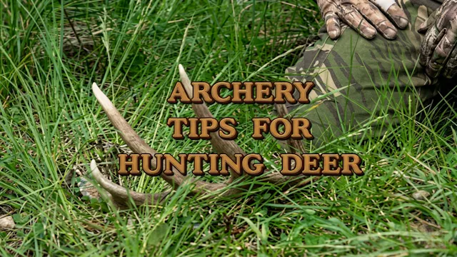 Archery Tips for Hunting Deer