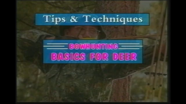 Bowhunting Basics for Deer