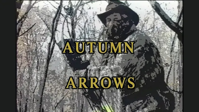 Autumn Arrows