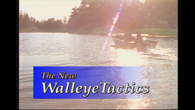 Walleye Tactics