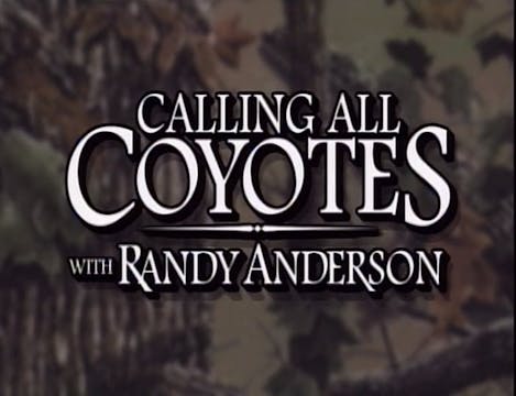 Calling All Coyotes
