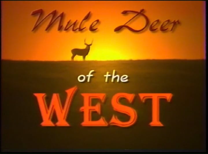 Babe Winkelman: Mule Deer of the West
